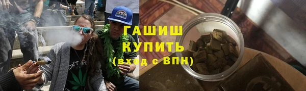 дмт Богданович